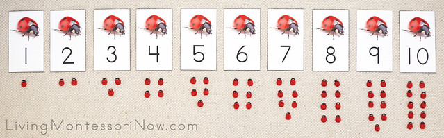 Ladybug Cards and Counters Layout