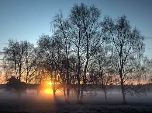 frost mist suffolk sunrise trees