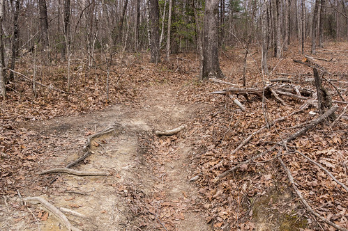 Stumphouse Mountain path - 5