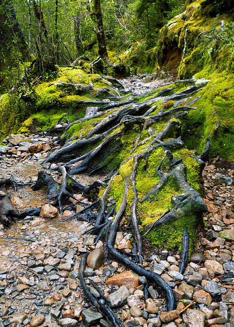 Walk to Devils Punchbowl Waterfall - South Island, New Zealand