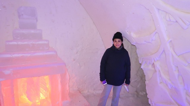 OMb inside the ice hotel