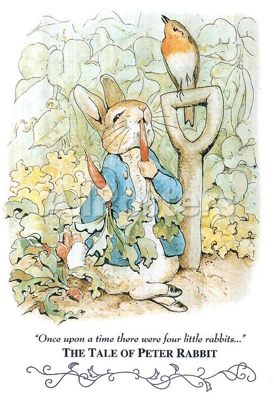 Peter Rabbit - Book Cover 1