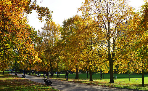 Hyde Park in Autumn