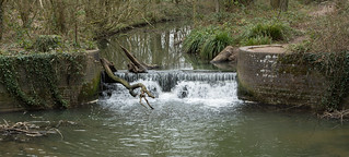 20180322-14_Coombe Abbey Country Park - The Smite Brook Weir