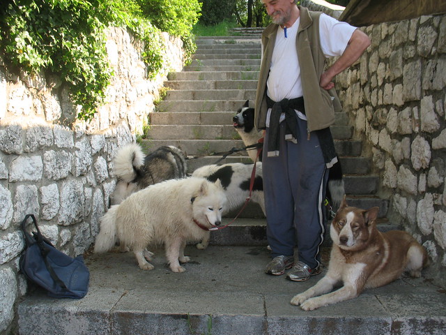 Homeless man and the dogs that he saved