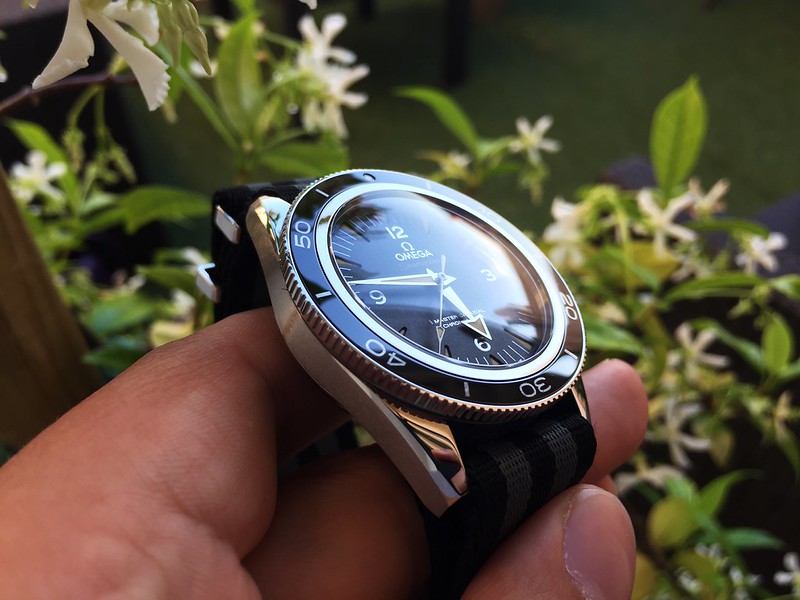 Nouvelle Seamaster 300 Master Co-Axial - tome II - Page 11 42404166301_eb3bb62081_c