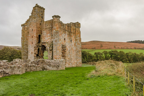 edlingham castle manor house tower building architecture stonework fortified northumberland grass field landscape tree ruins