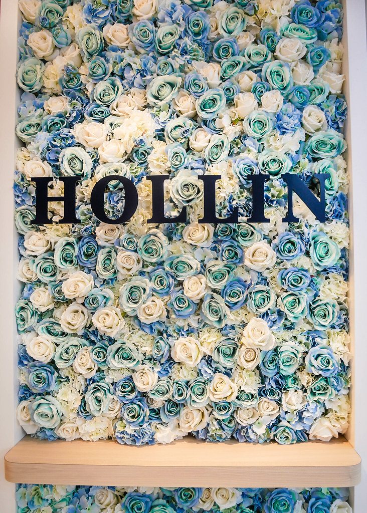 hollin-2