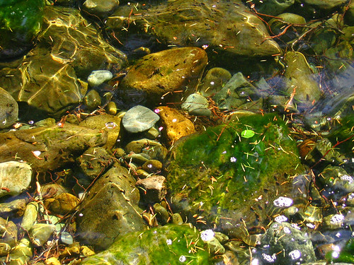 nature colors river landscape flow rocks ripples