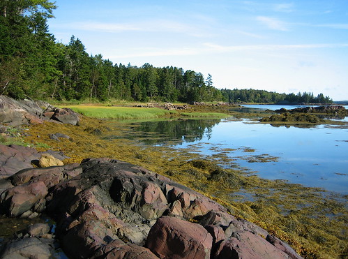 park camping seaweed bay rocks tide cobscook