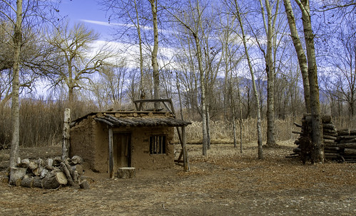 taos newmexico unitedstates us sanden tree house forest wood building countryside hut nature rural outdoors shack wooden old cottage landscape outdoor woodland grass noperson logcabin ruralarea field standing treelog grazing shelter abandoned hay village area