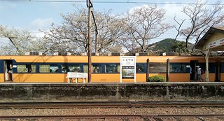 大井川鐵道列新金谷 (5)