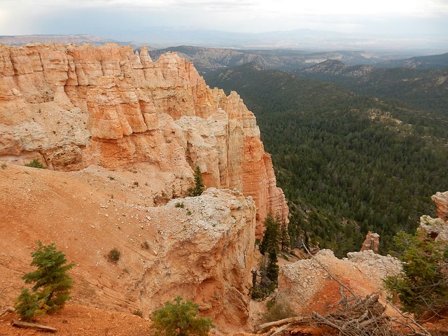 Bryce Canyon National Park, el bosque de piedra - Costa oeste de Estados Unidos: 25 días en ruta por el far west (12)