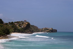 Caribbean seashore