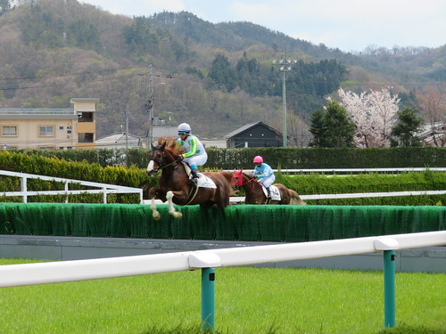 福島競馬場の障害を飛越する馬たち