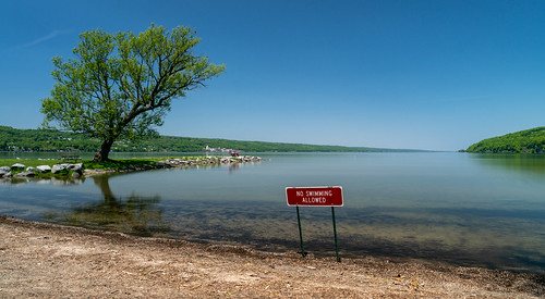 newyork unitedstates watkinsglen tree sign lake senecalake shore water