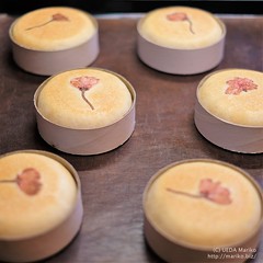 桜酵母の平焼きあんパン　20180414-DSCT0832 (2)
