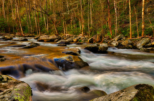 landscape landscapemountain river smokymountains spring sunrise tennessee trees water