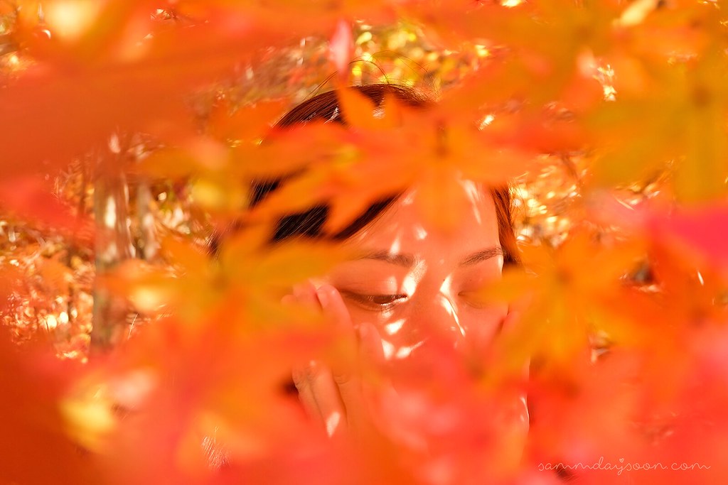 autumn_seoul_park_korea