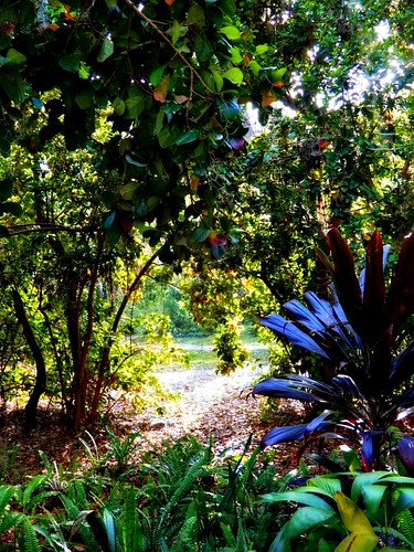 westofeden sugarmillgardens portorangeflorida garden trees plants path light scenic landscape