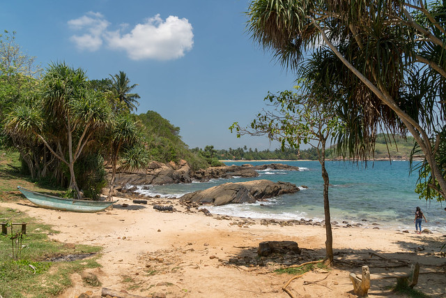 Beach at the Blow Hole