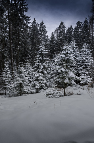 winter wonderland alessiobertolone trentino snow neve landscape paesaggio alberi trees nikon d7000 1685mm it ©