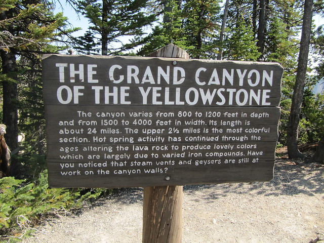 Yellowstone salvaje: cañones, cataratas, praderas y supervivencia en el lago. - Costa oeste de Estados Unidos: 25 días en ruta por el far west (24)