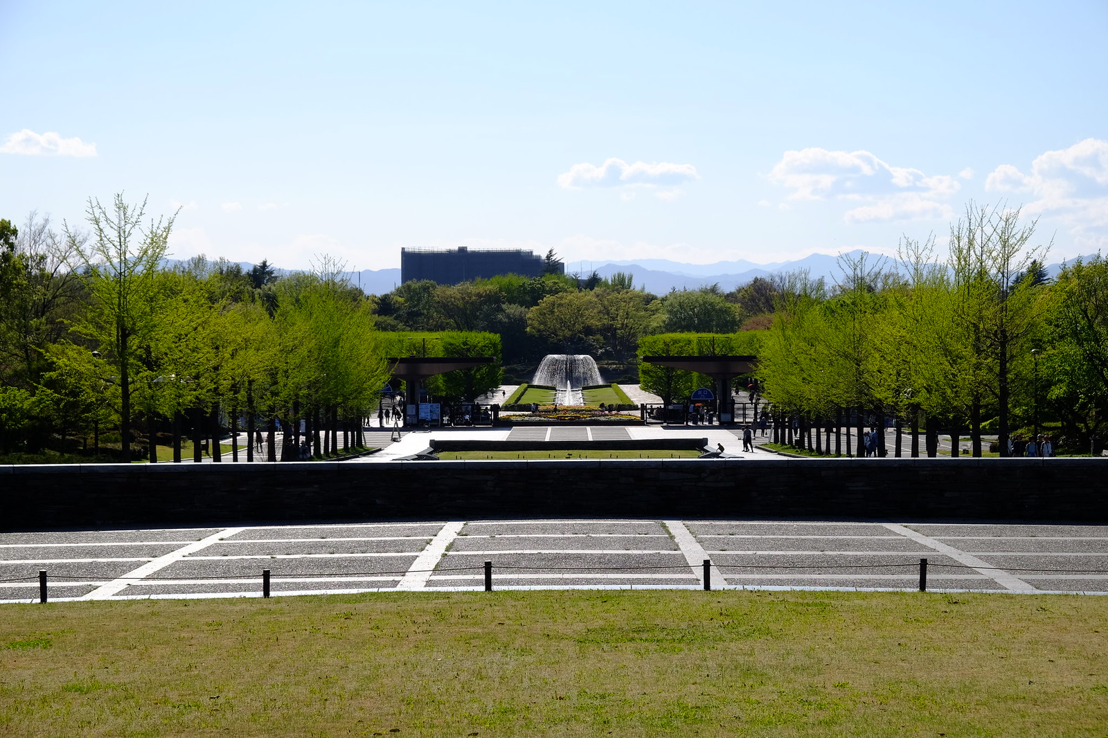 東京 到昭和記念公園賞油菜花 Maptabi