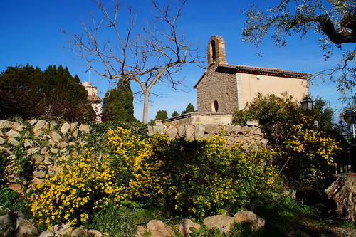 Monasterio de Miramar, Valldemossa y La Granja, 29-3-2018 - Mallorca (9)