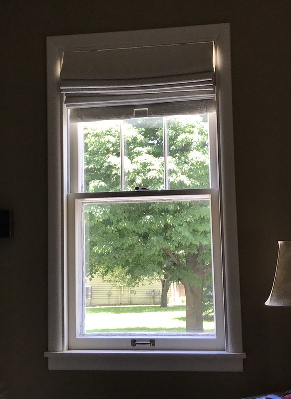 view through my window