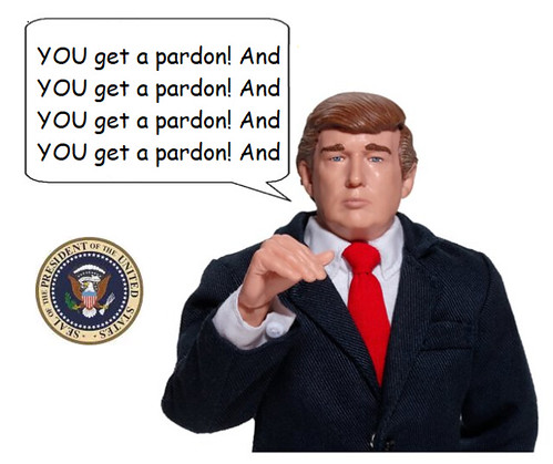 Trump's Parting Pardons