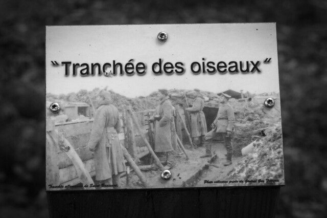 German trenches, Verdun, France