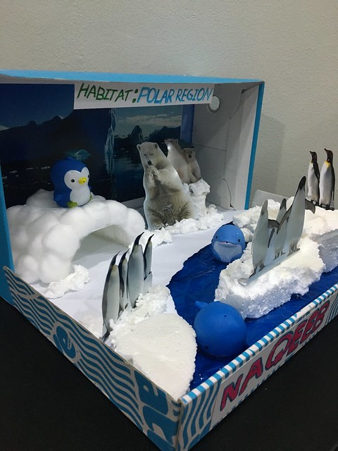 Qeeb’s School Project - Diorama polar region
