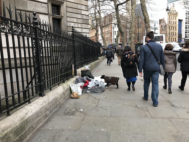 dog with street person, London