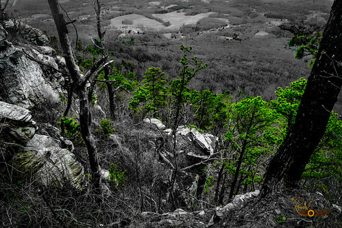 6000 color nc northcarolina pilotmountainstatepark us unitedstates a6000 amazing background beautiful blackandwhite branch cliff colors down drama dramatic forest green hill ilce ilce6000 interesting landscape mountain mountains nature oldtrees outdoor outdoors park photo photographer photography pic picture pretty tree treetrunk trees wallpaper woodland