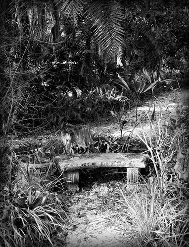gardenbenchinmonochrome sugarmillgardens scenic landscape parkbench plants botanical paths nature garden outdoors portorangeflorida park monochrome blackandwhite