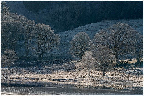 dhanakosa lochvoil scotland frost ice morninglight