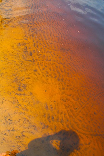 orange selfportrait water bike bicycle swimming river tour southcarolina cfbiketour carolinasfloridabiketour