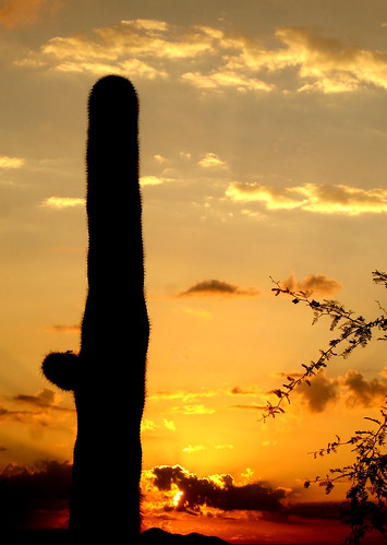 arizona cactus sky orange clouds sunrise desert cloudy ominous redsky distance