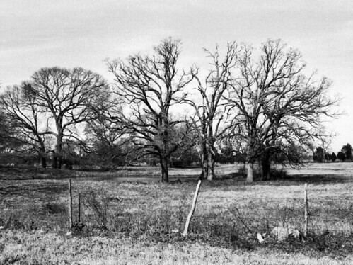 trees winter blackandwhite bw tree water monochrome rural 35mm fence landscape geotagged photography photo texas tx barbwire copyrightwickdartsdesign wickdartsdesign wickdarts ericwaisman