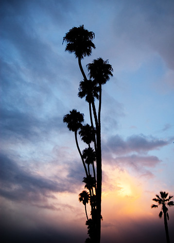 california clouds sunrise palms carpinteria