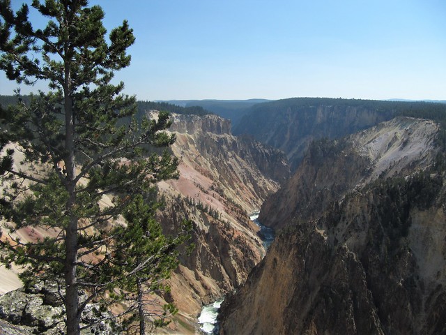 Yellowstone salvaje: cañones, cataratas, praderas y supervivencia en el lago. - Costa oeste de Estados Unidos: 25 días en ruta por el far west (25)