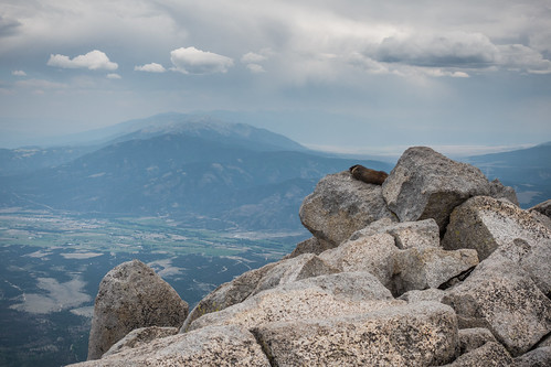 mt spring high mammal sleeping stones animal haze picture peak sky far distant stone mount 14er napping mountains top humidity hazy weather boulders rocks nature photo rock photograph landscape distance marmot cloud shavano colorado clouds boulder view peaks humid mountain
