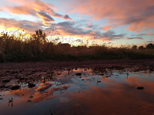 suburbs clouds sunset nuvole tramonto pozzanghera puddle villasanta reflection mirror