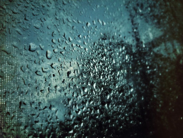Rain on the Kitchen Window