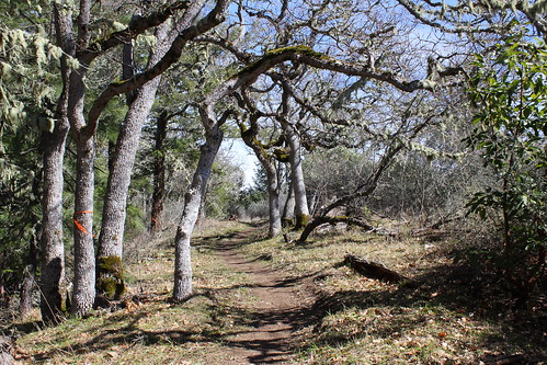 east applegate ridge trail jacksonville sterling ditch jack ash siskiyou mountains foothills ruch valley hiking oregon views