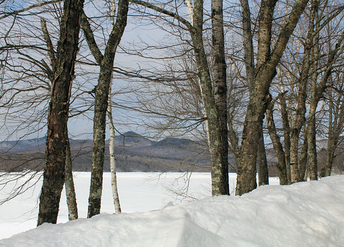 vermont spring nature outdoors snow