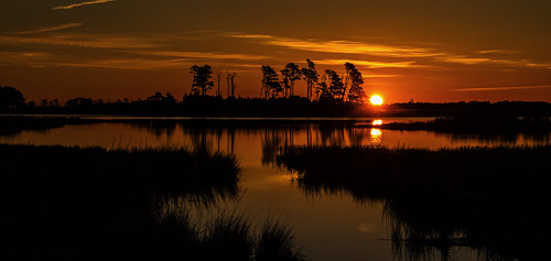 sunrise chincoteagueislandnwr virginia water reflection