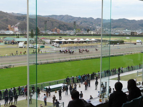 福島競馬場の３階一般席から眺めるレース