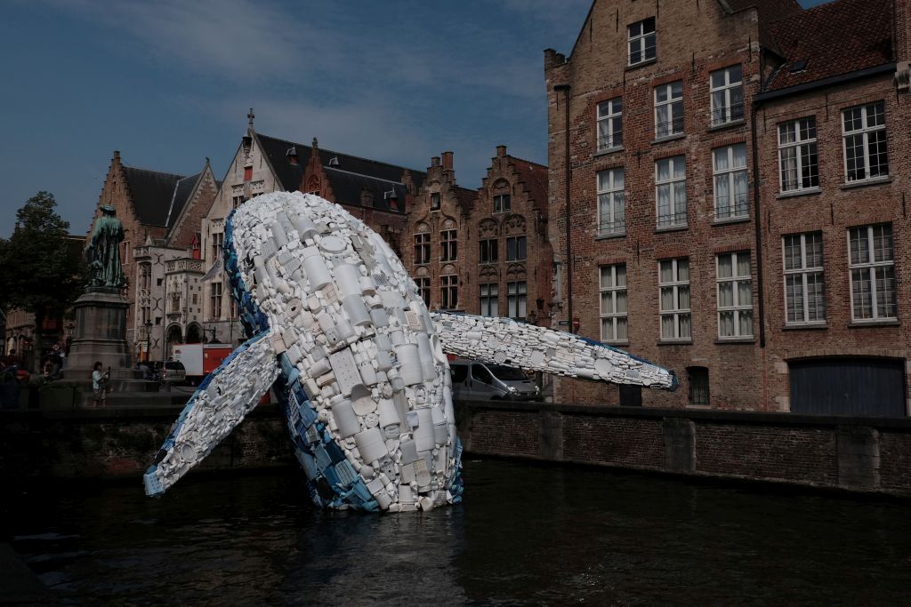 The Bruges Whale